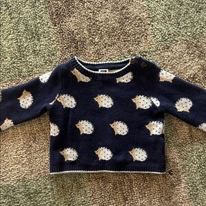 Janie and Jack Navy Sweater with Hedgehog Design